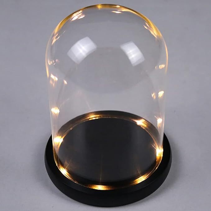 DuvinDD Glass Dome Cloche with LED Light