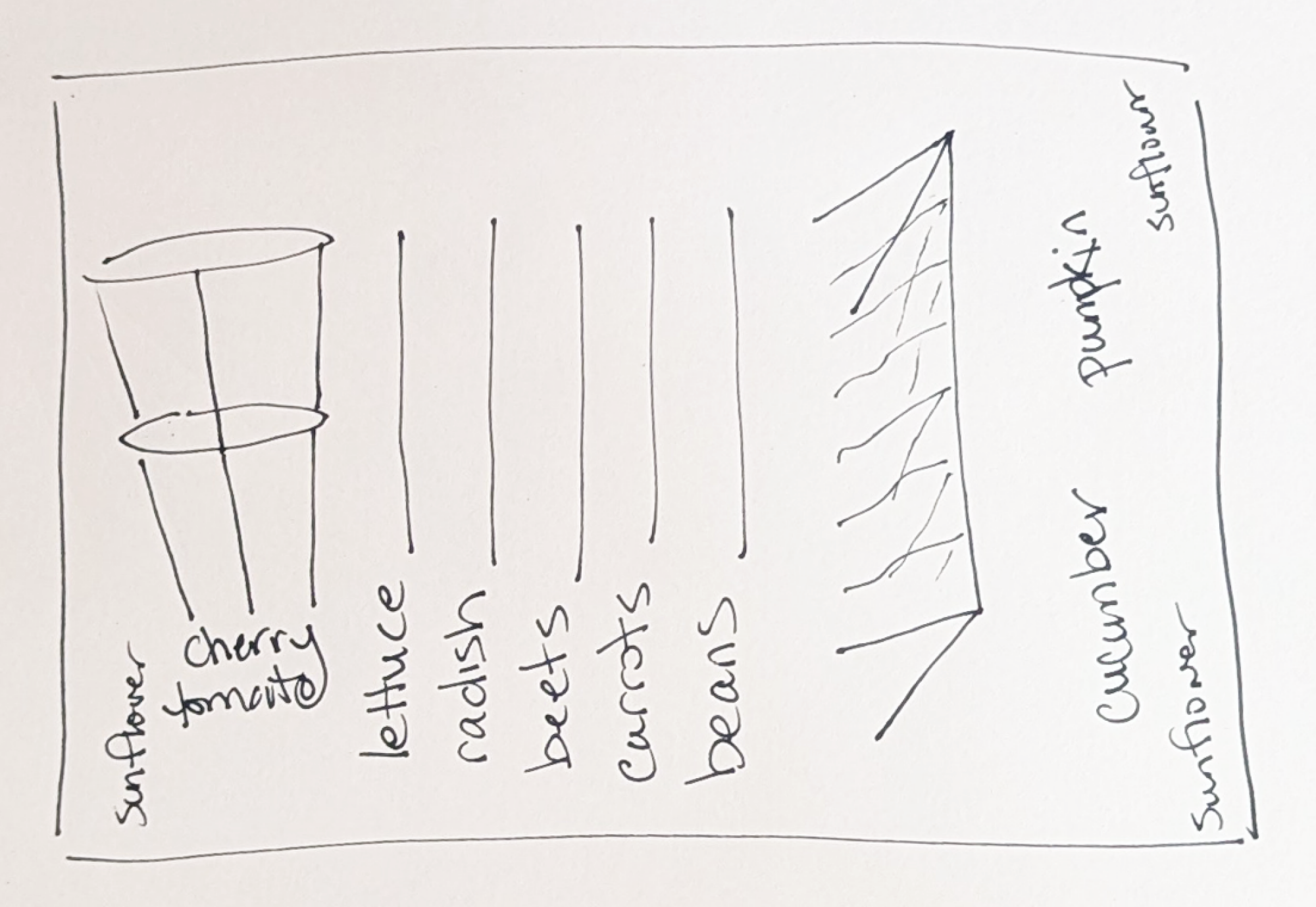 garden layout sketch