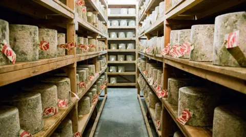 Neal's Yard Dairy Cheesery lined with wooden shelves upon which large wheels of cloth-bound cheddar are stored. Each bears a label with 'Hafod' printed on it in red ink