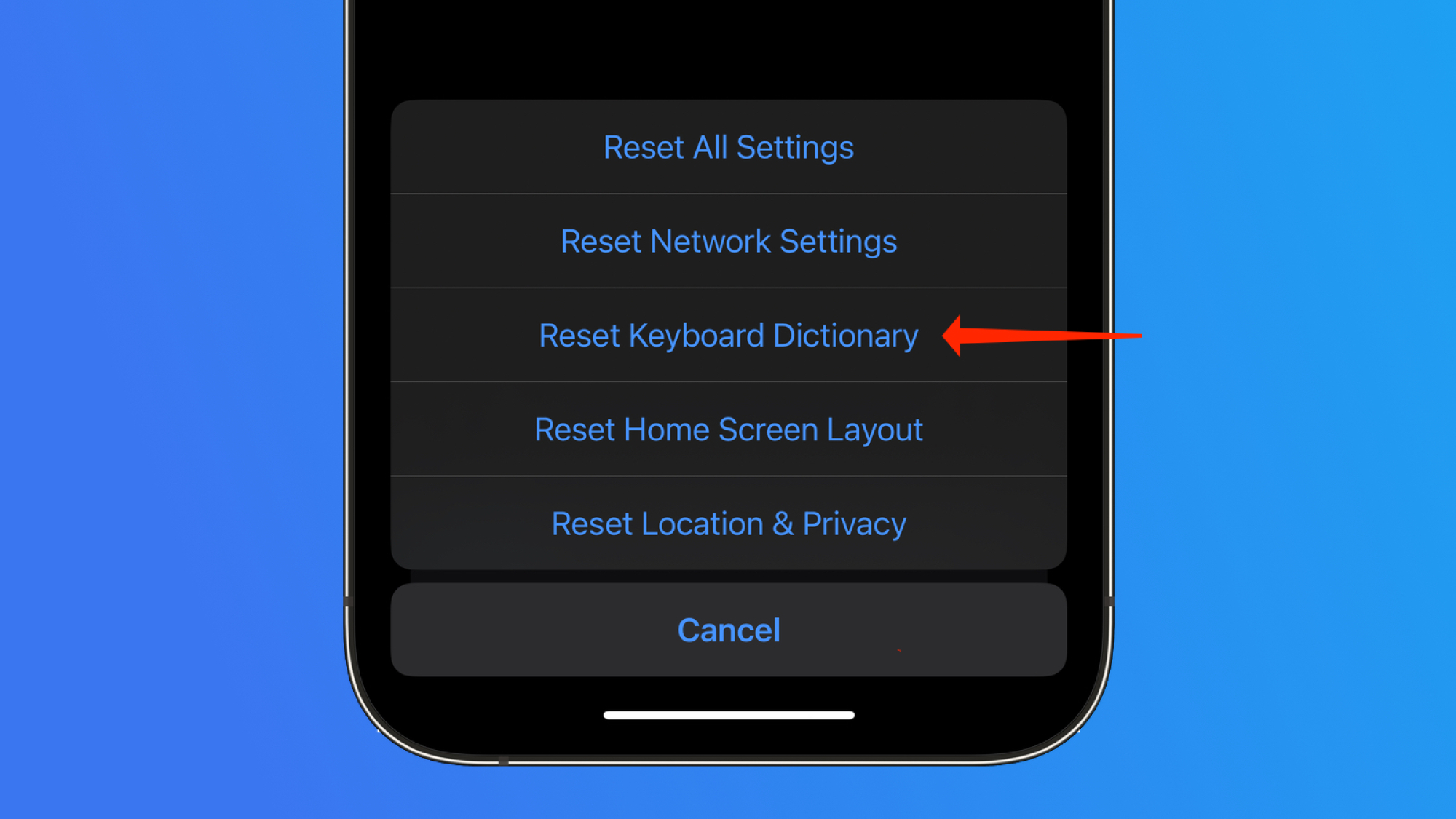 A screenshot of the reset keyboard dictionary option on the iPhone