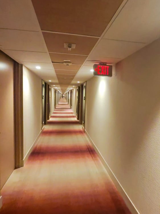 Hallway with ugly carpet