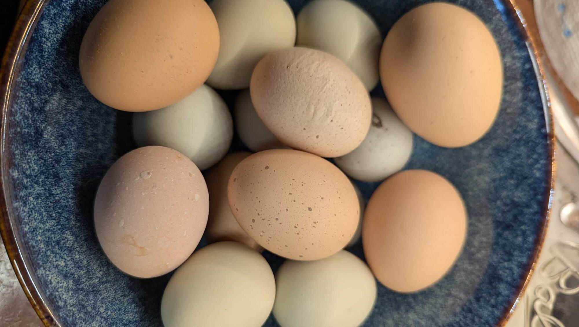 A bowl of chicken eggs